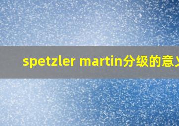 spetzler martin分级的意义